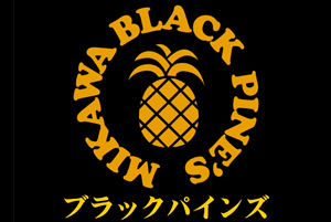 嶵Mikawa Black Pine'sʥ֥åѥ󥺡ˤؤ褦